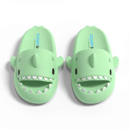 The Original Shark Slides - CloudySharks™ - India's First Shark Slides