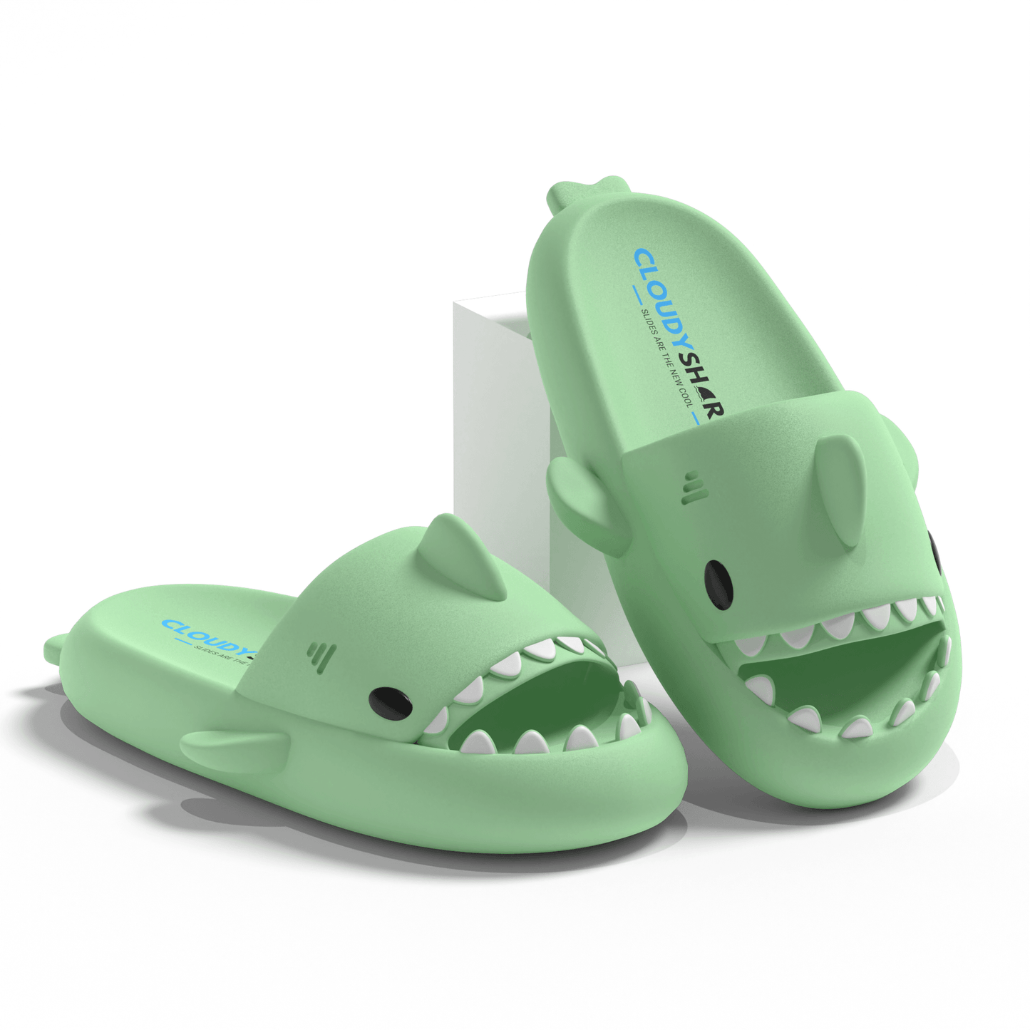 The Original Shark Slides - CloudySharks™ - India's First Shark Slides