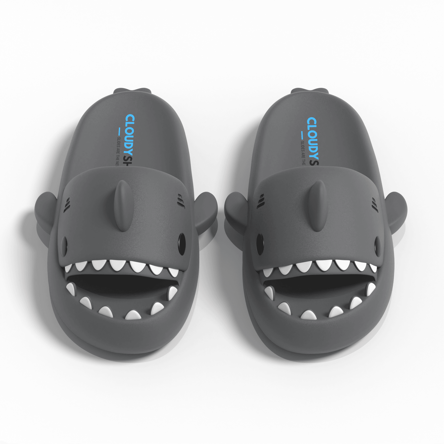 The Original Shark Slides - CloudySharks™ - India's First Shark Slides