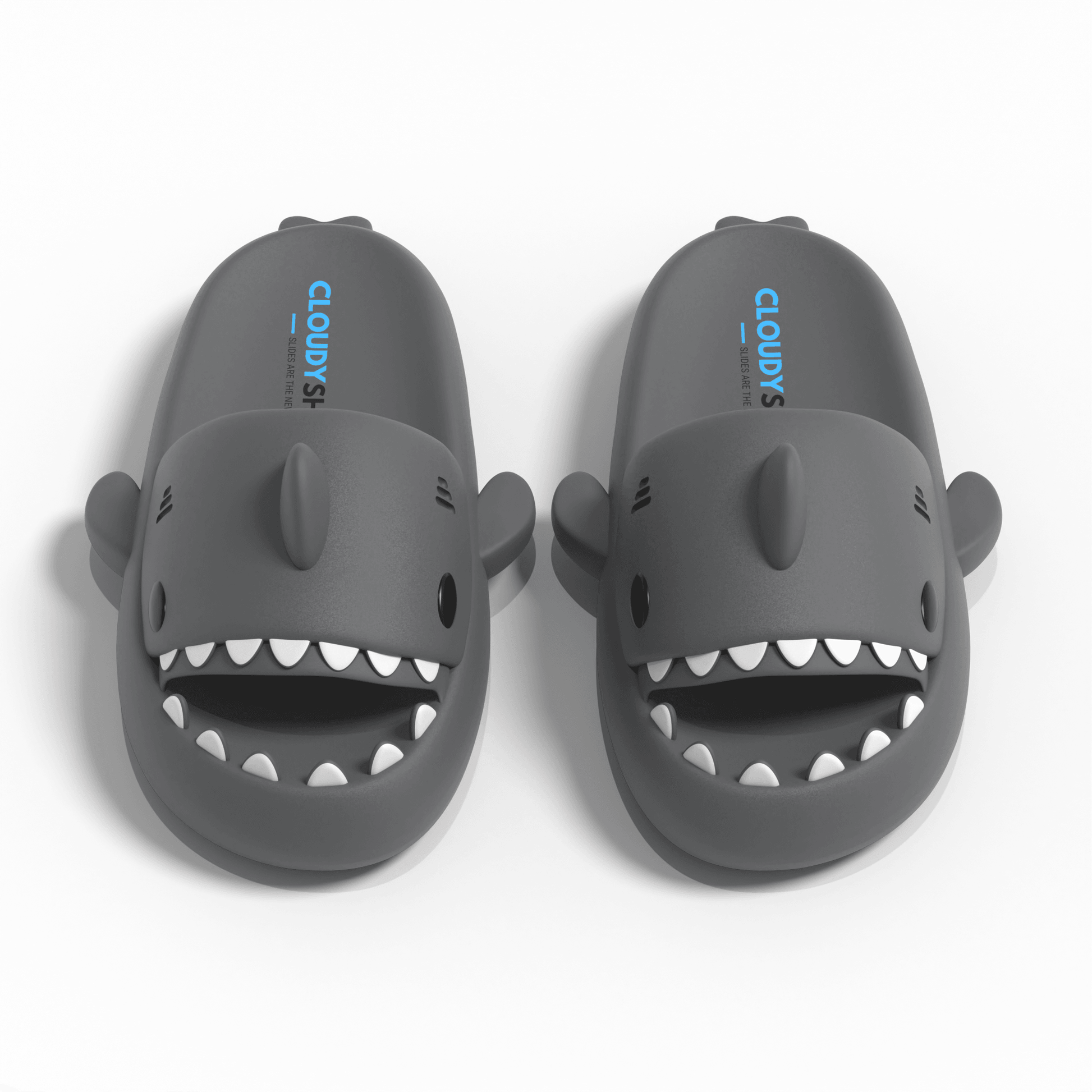 The Original Shark Slides - CloudySharks™ - India's First Shark Slides