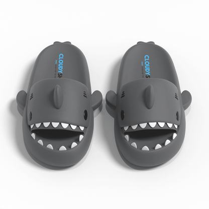 The Original Shark Slides - CloudySharks™ - India's First Shark Slides