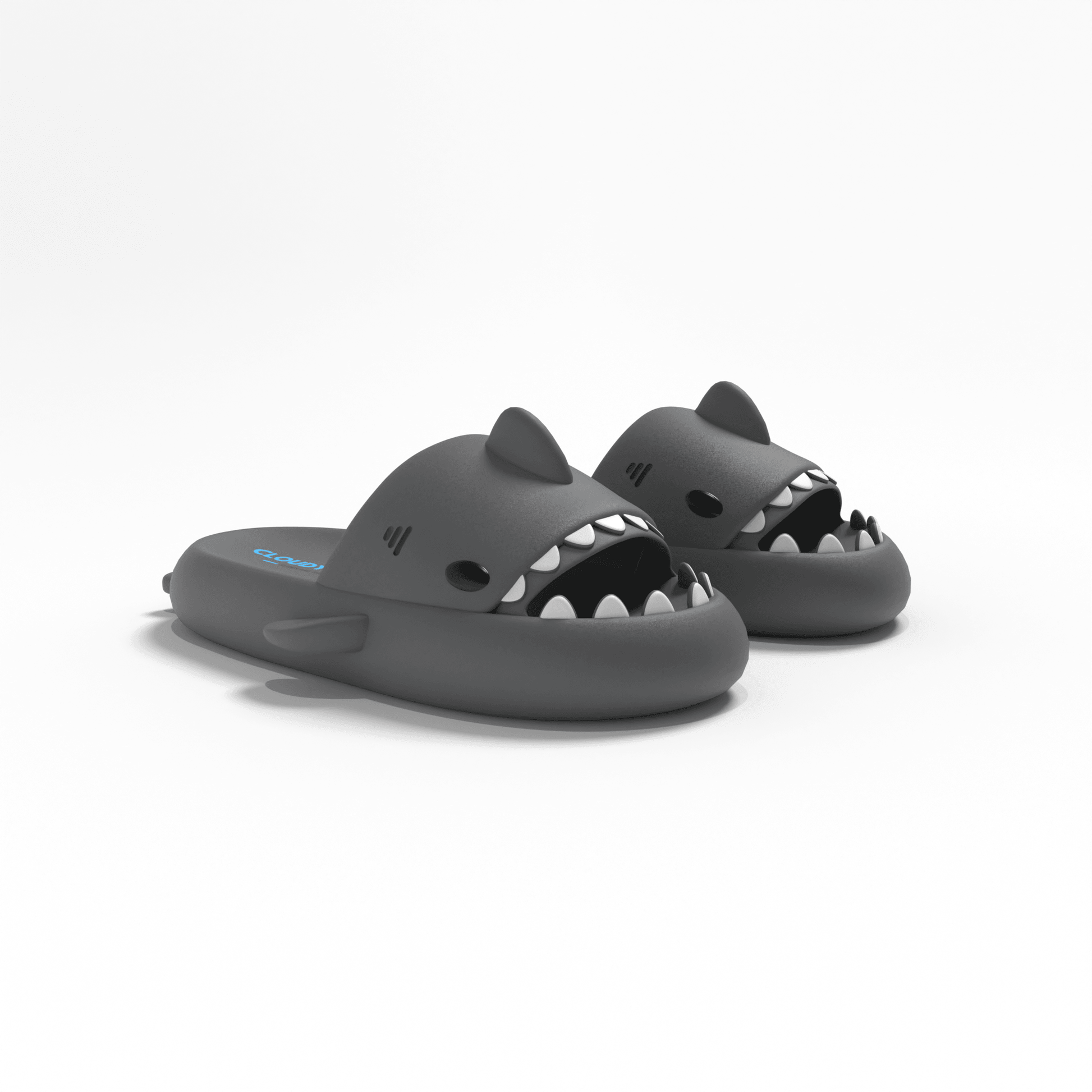 The Original Shark Slides - CloudySharks™ - India's First Shark Slides