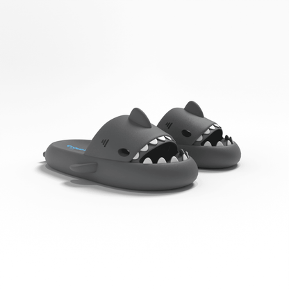 The Original Shark Slides - CloudySharks™ - India's First Shark Slides