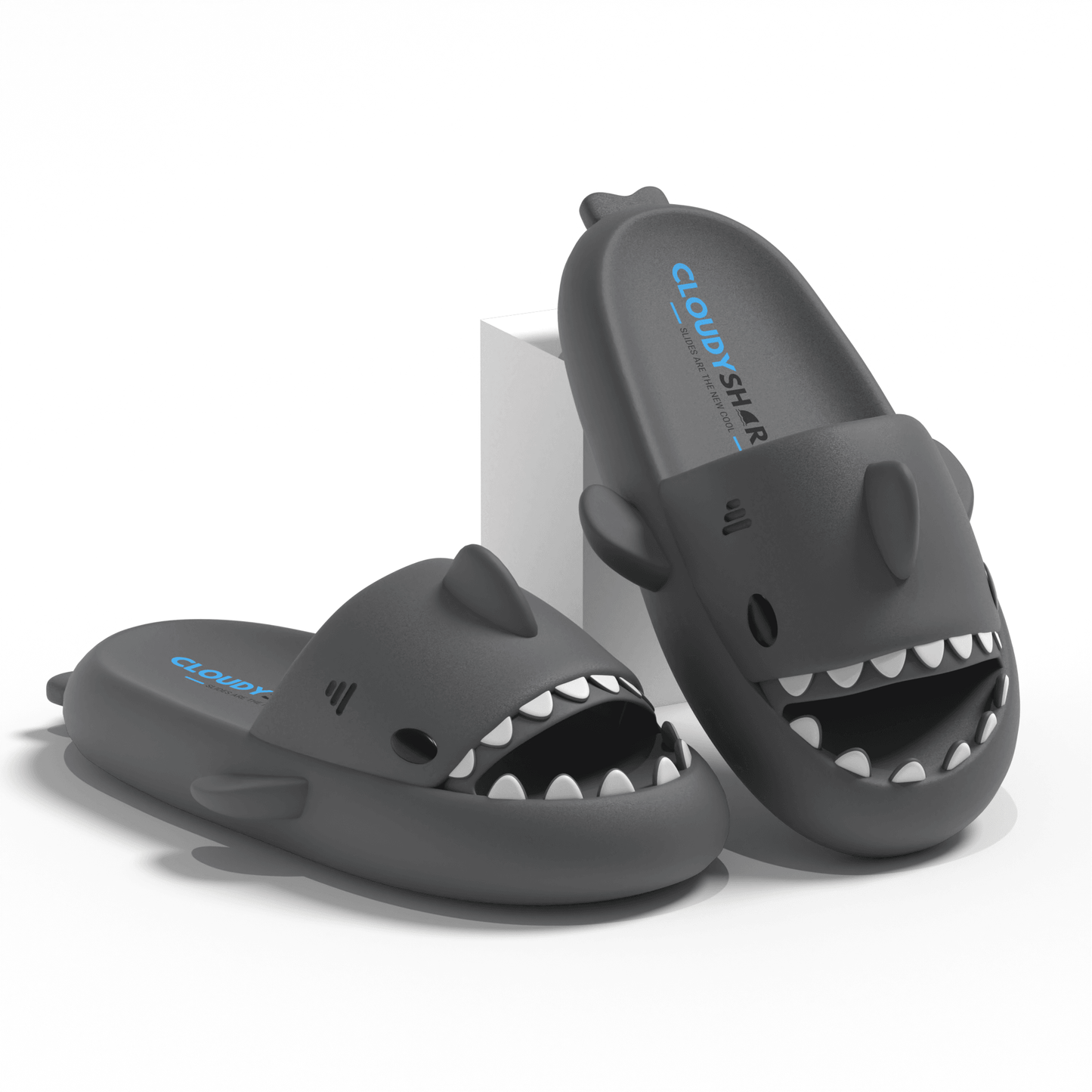 The Original Shark Slides - CloudySharks™ - India's First Shark Slides