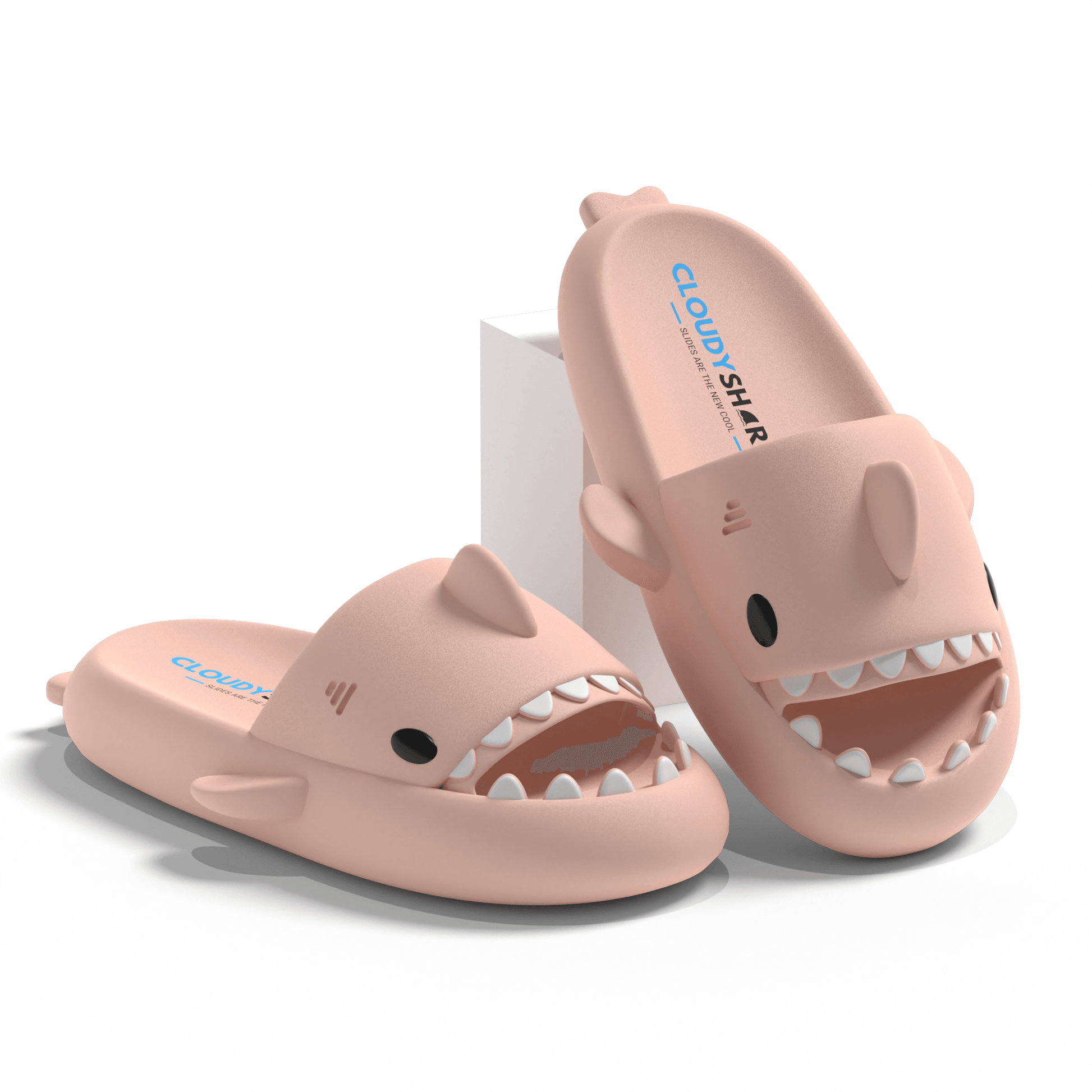 The Original Shark Slides - CloudySharks™ - India's First Shark Slides