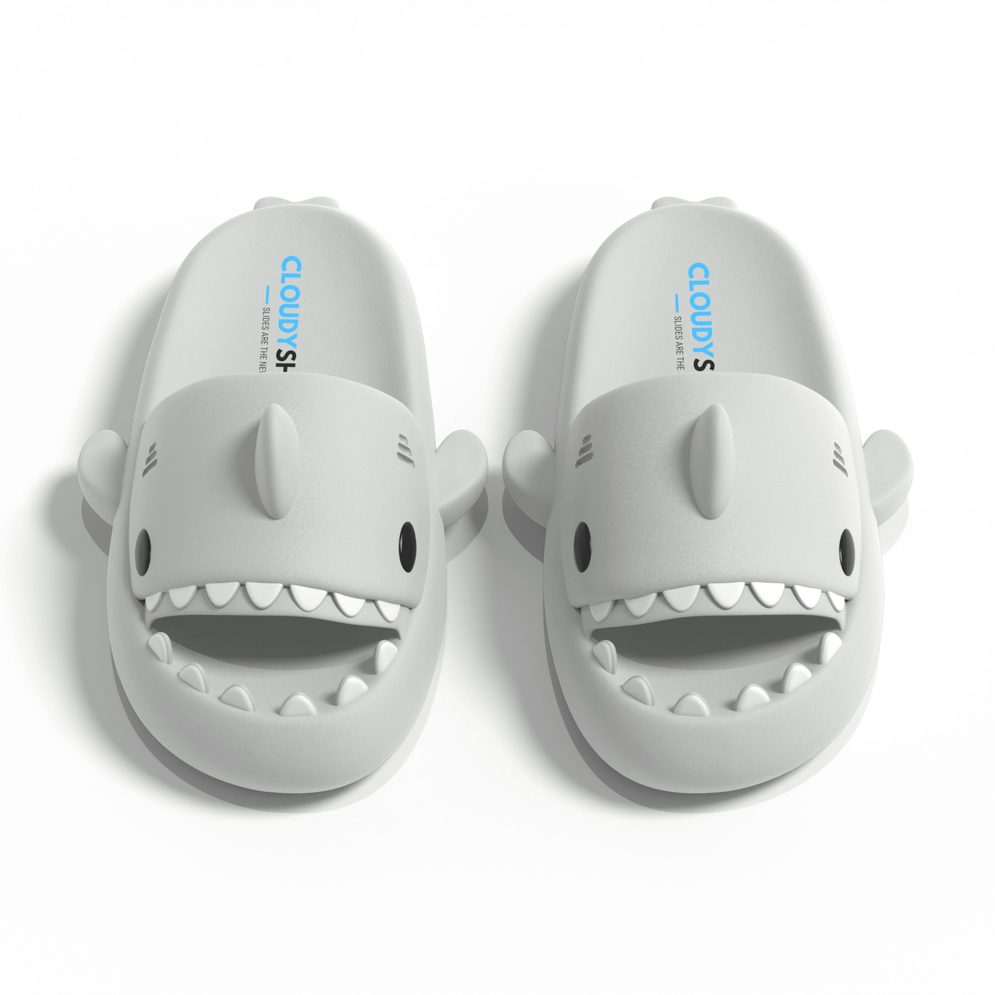 The Original Shark Slides - CloudySharks™ - India's First Shark Slides