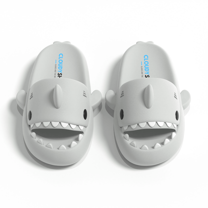 The Original Shark Slides - CloudySharks™ - India's First Shark Slides