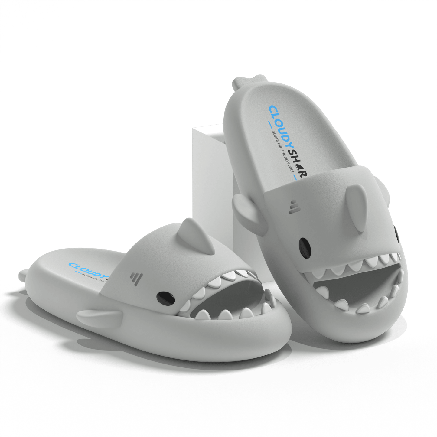 The Original Shark Slides - CloudySharks™ - India's First Shark Slides