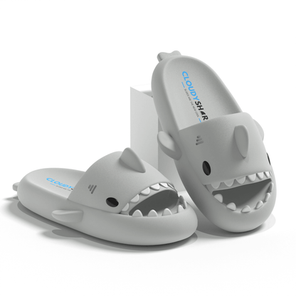 The Original Shark Slides - CloudySharks™ - India's First Shark Slides