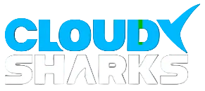 CloudySharks™  - India's First Shark Slides